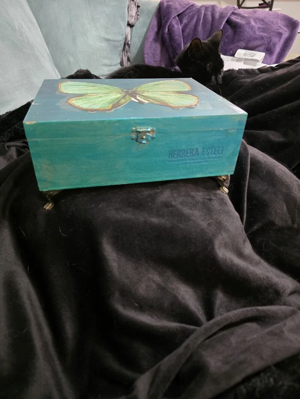Custom One Of A Kind Green Butterfly  Decorative Box Home Art
